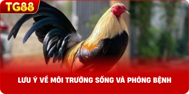 lưu ý về môi trường sống và phòng bệnh.